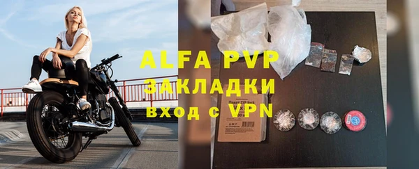гашик Богданович