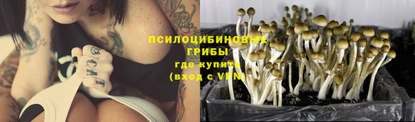 apvp Беломорск