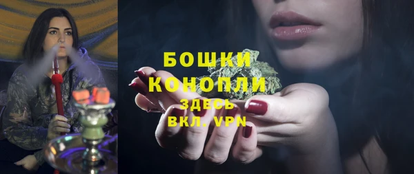 винт Белокуриха
