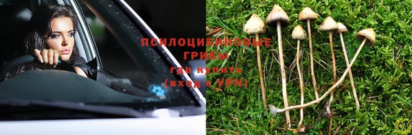 гашик Богданович